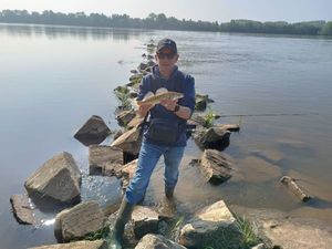 Zander