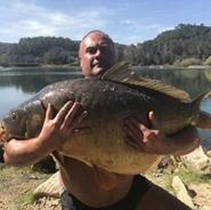 Mirror Carp