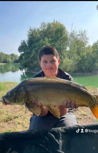 Common Carp