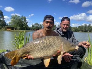 Common Carp