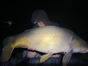 Mirror Carp