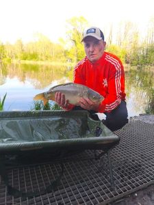 Mirror Carp