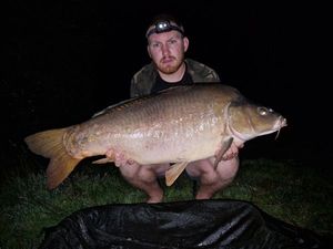 Mirror Carp