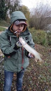 Northern Pike