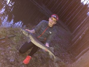 Sturgeon