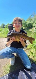 Common Carp