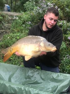 Mirror Carp