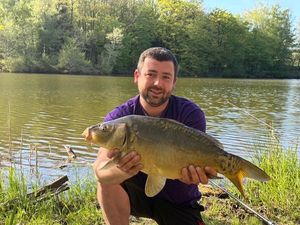 Mirror Carp