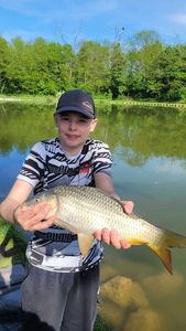 Mirror Carp