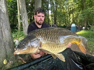 Common Carp