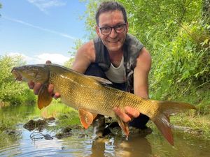 Barbel