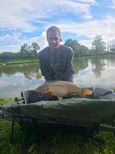Mirror Carp