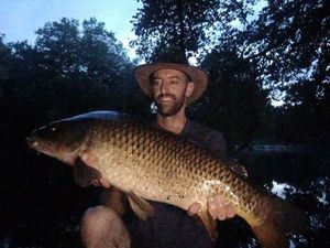 Common Carp