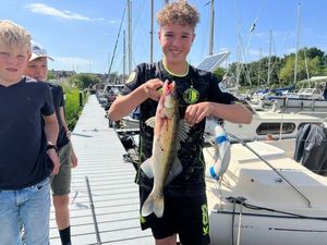 Snoekbaars