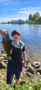 Smallmouth Bass