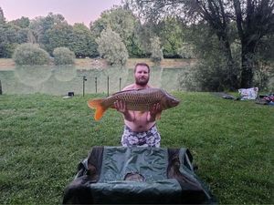 Common Carp