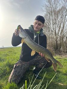 Northern Pike