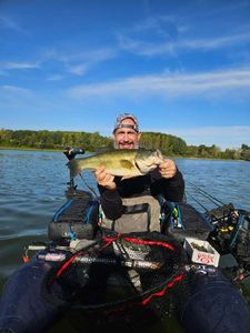 Largemouth Bass