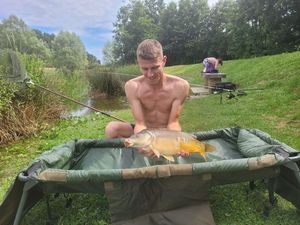 Mirror Carp