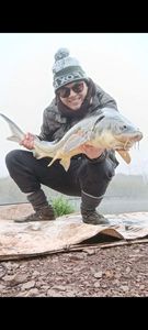 Sturgeon