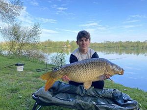 Common Carp