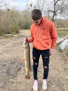 Northern Pike