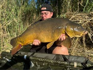 Mirror Carp
