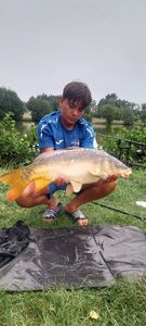 Mirror Carp