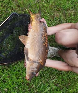 Leather Carp