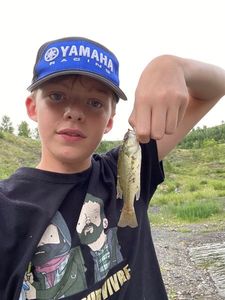 Smallmouth Bass