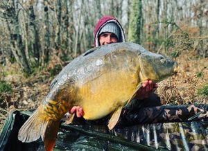 Mirror Carp