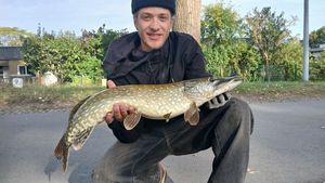 Northern Pike