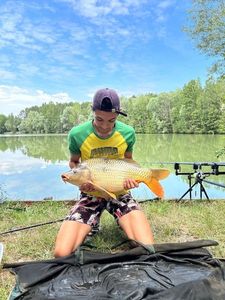 Common Carp