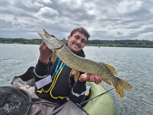 Northern Pike