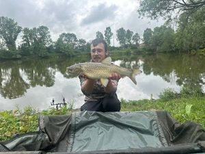 Grass Carp