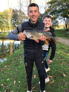 European Perch