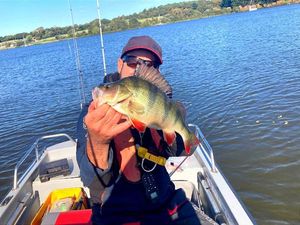 European Perch