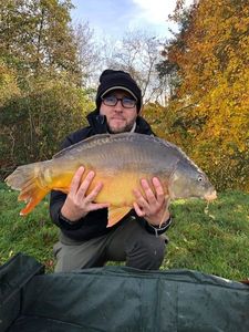 Mirror Carp