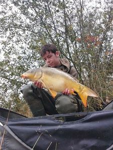 Mirror Carp