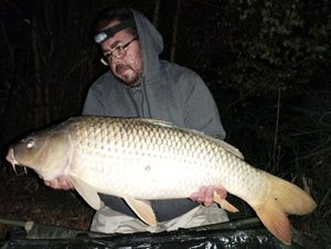Common Carp
