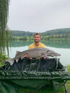 Sturgeon