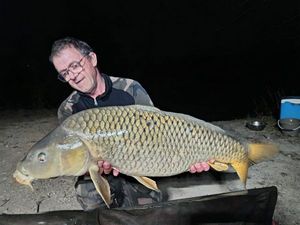 Common Carp