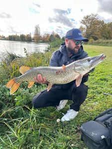 Northern Pike