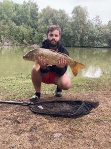 Mirror Carp