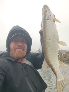 Northern Pike