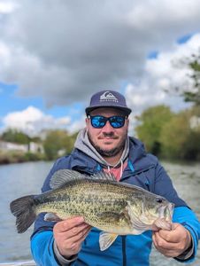 Largemouth Bass