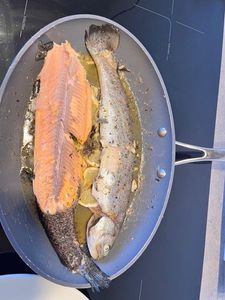 Brook Trout
