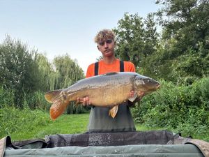 Mirror Carp