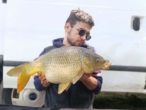 Common Carp