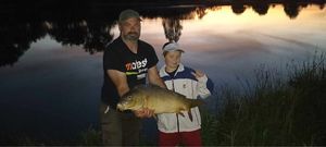 Mirror Carp